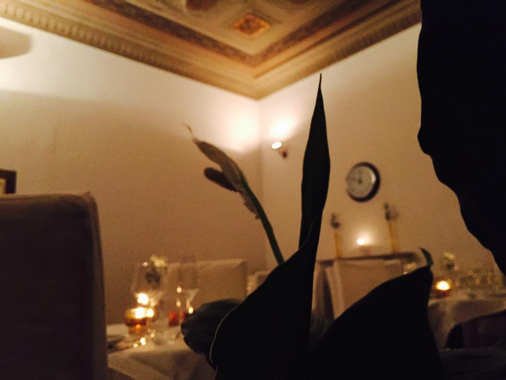 Home Restaurant Hotel Firenze Ruang foto